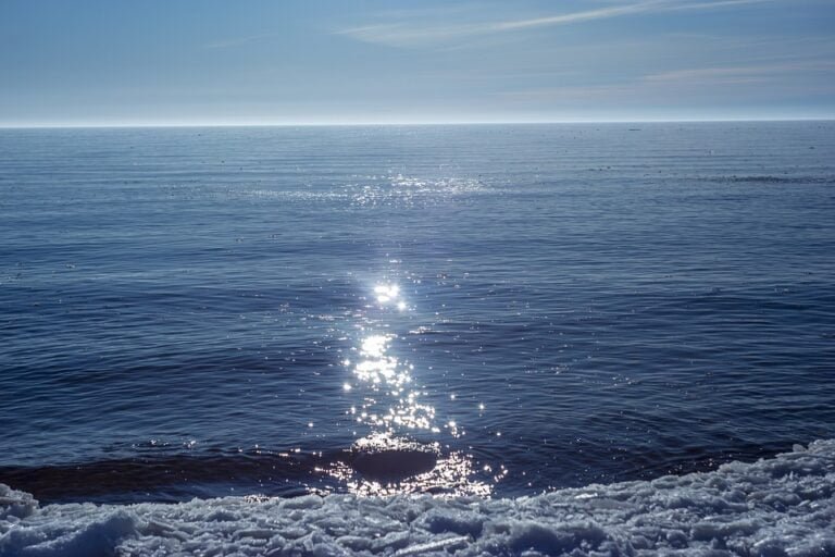 Festivales Musicales para Niños: Aprendizaje y Diversión