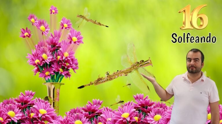 instrumentos transpositores