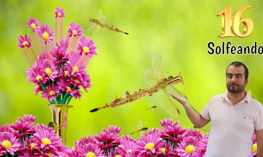 🎷Instrumentos Transpositores (2ª Parte) | SOLFEANDO LIVE 16